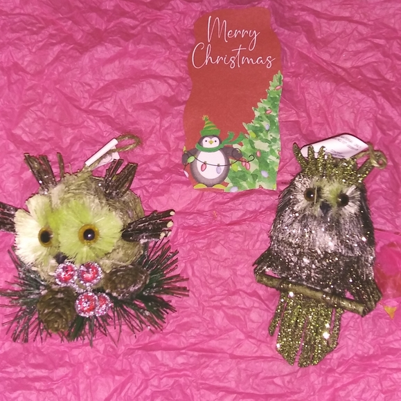 🦉Owl Ornaments🦉 - Picture 1 of 6